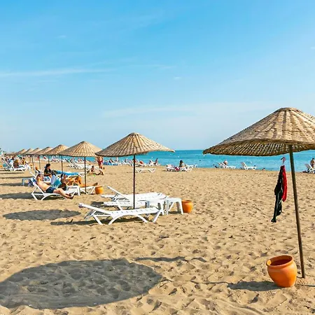 Paradise Town Alison *