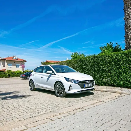 Paradise Town Alison *