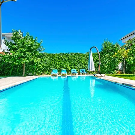 Paradise Town Alison