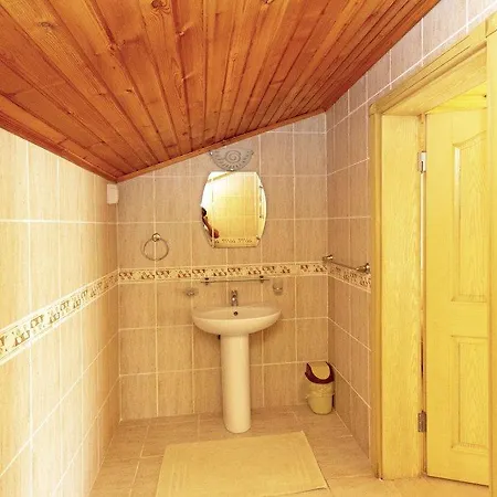 Paradise Town Alison *