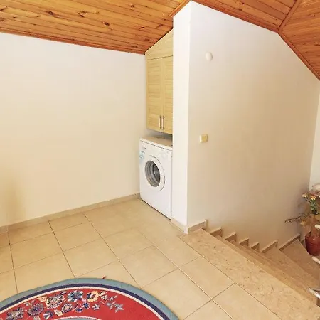 Paradise Town Alison 베렉