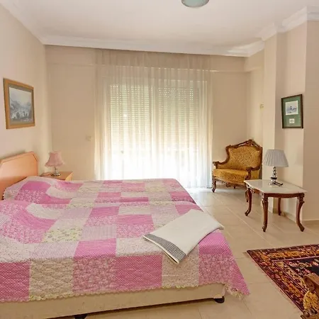 Paradise Town Alison 베렉