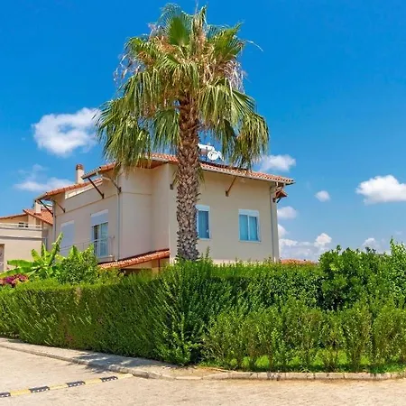 Paradise Town Alison *