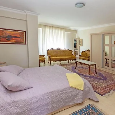 Paradise Town Alison * 베렉