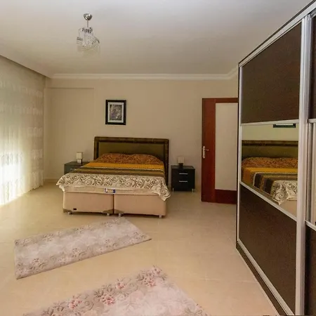 Paradise Town Alison *