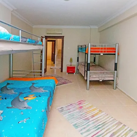 Paradise Town Alison *