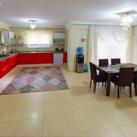 Paradise Town Alison *