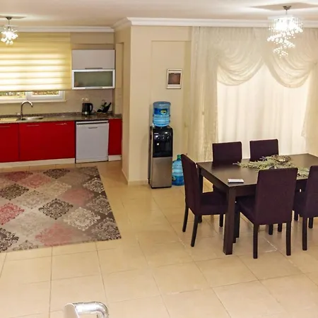 Paradise Town Alison * 베렉