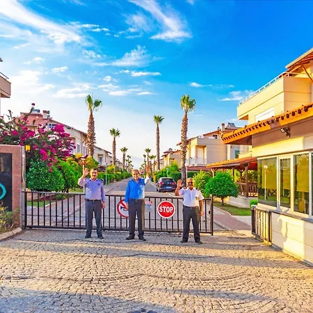 Paradise Town Alison