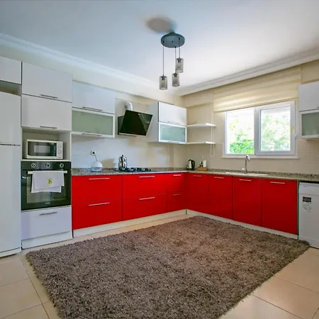 Paradise Town Alison