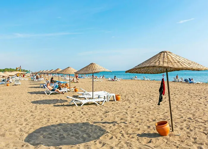 Paradise Town Alison *