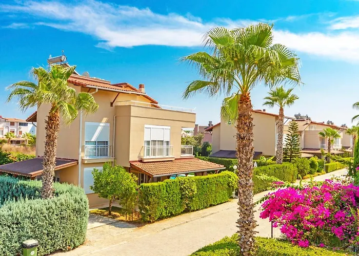 Paradise Town Alison *