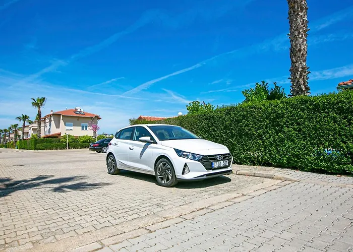 Paradise Town Alison *