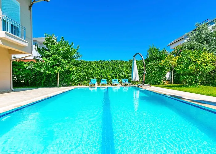 Paradise Town Alison