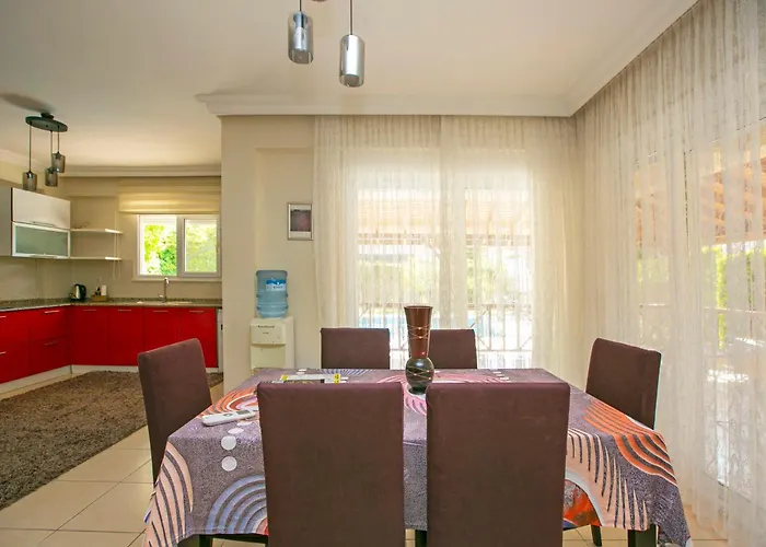 Paradise Town Alison *