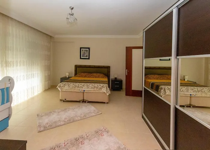 Paradise Town Alison *