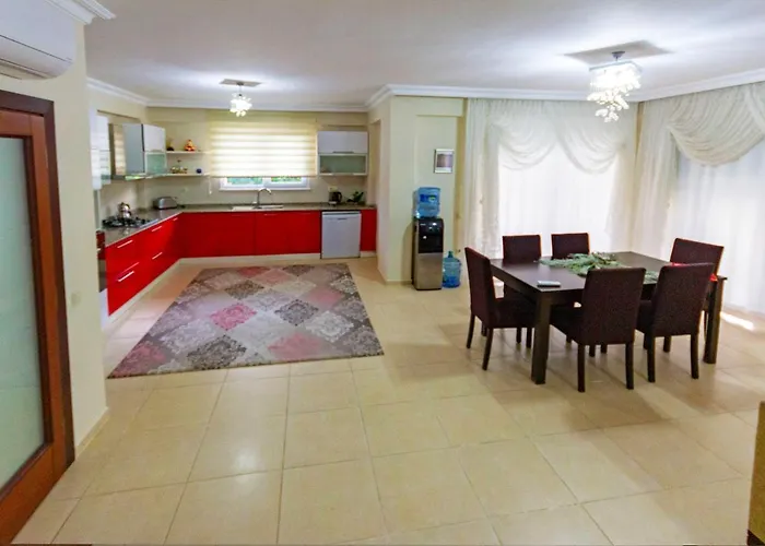 Paradise Town Alison *